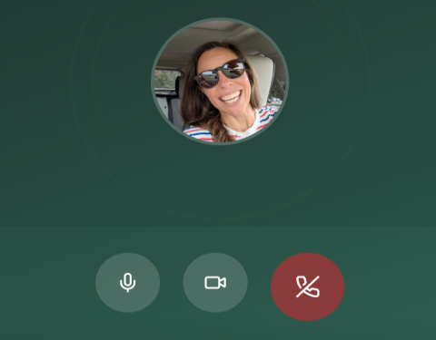 Native video conference room showing participant tiles, host controls, and live reactions